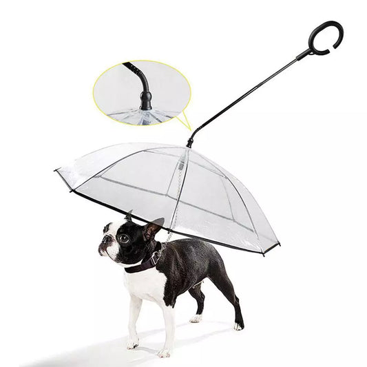 Pet Transparent Umbrella Adjustable Dog Leash